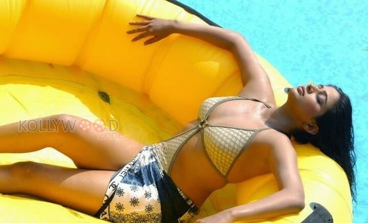 Actress Priyamani Hot Bikini Pictures
