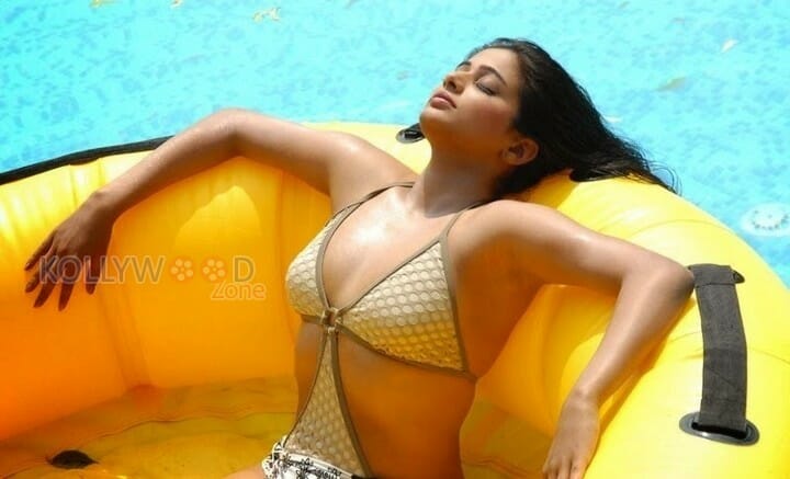 Actress Priyamani Hot Bikini Pictures