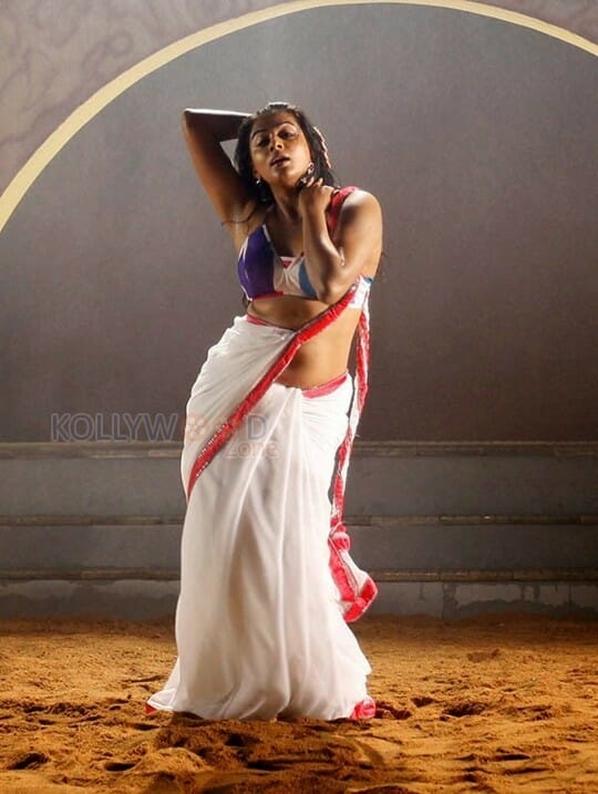 Actress Priyamani Hot Saree Photos