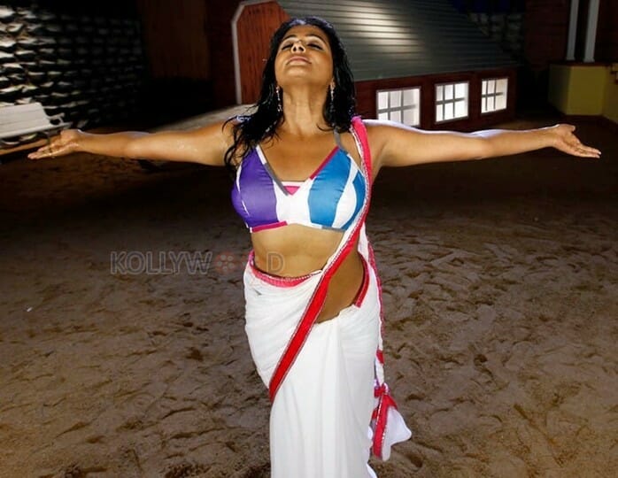 Actress Priyamani Hot Saree Photos