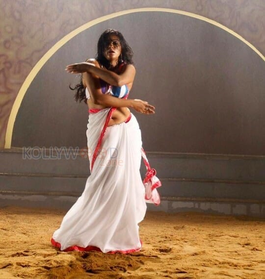 Actress Priyamani Hot Saree Photos