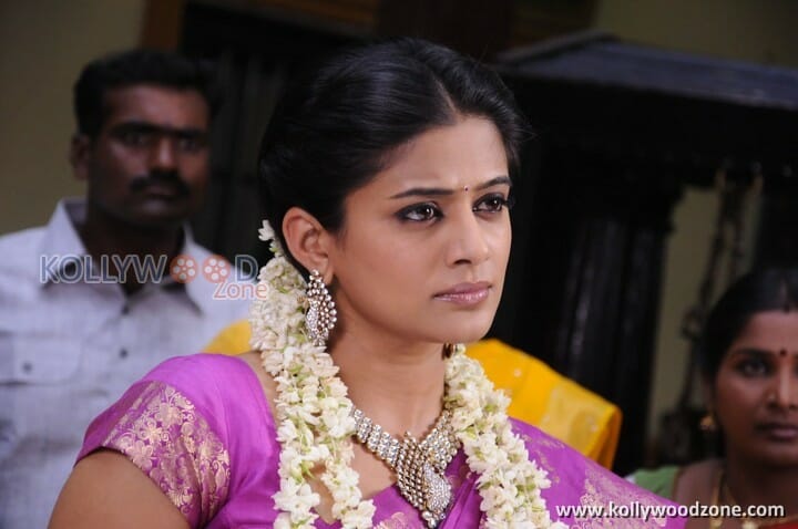 Actress Priyamani Images