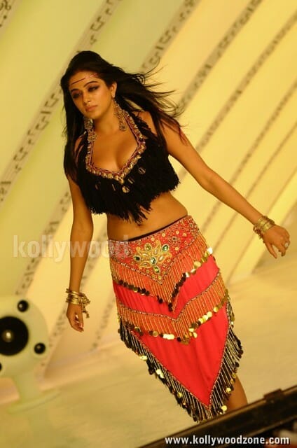 Actress Priyamani Sexy Photos