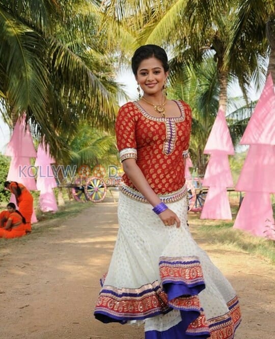 Actress Priyamani Traditional Pictures