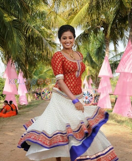 Actress Priyamani Traditional Pictures
