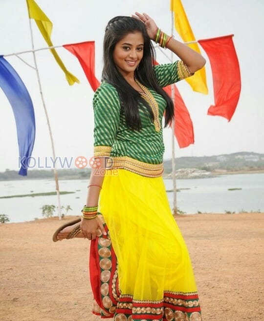 Actress Priyamani Traditional Pictures