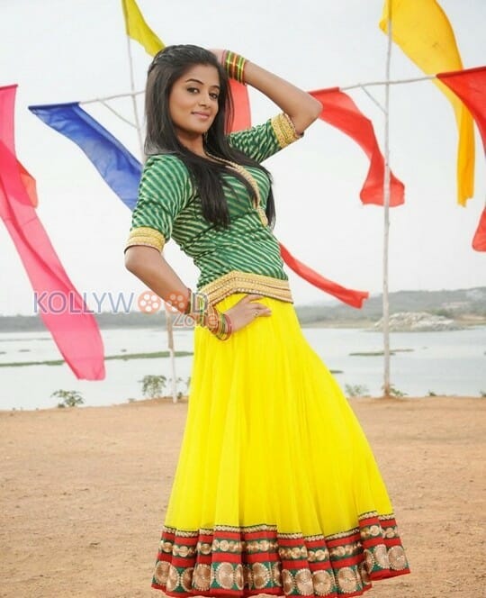 Actress Priyamani Traditional Pictures