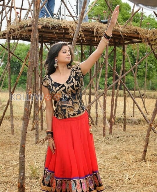 Actress Priyamani Traditional Pictures