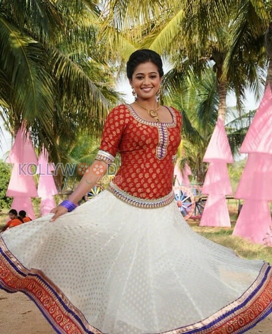 Actress Priyamani Traditional Pictures