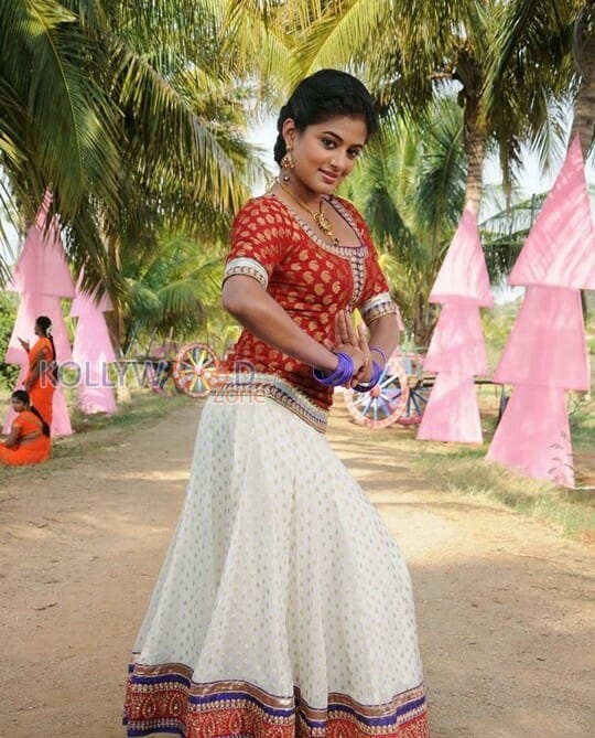 Actress Priyamani Traditional Pictures