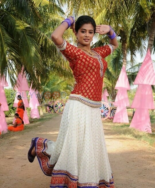 Actress Priyamani Traditional Pictures