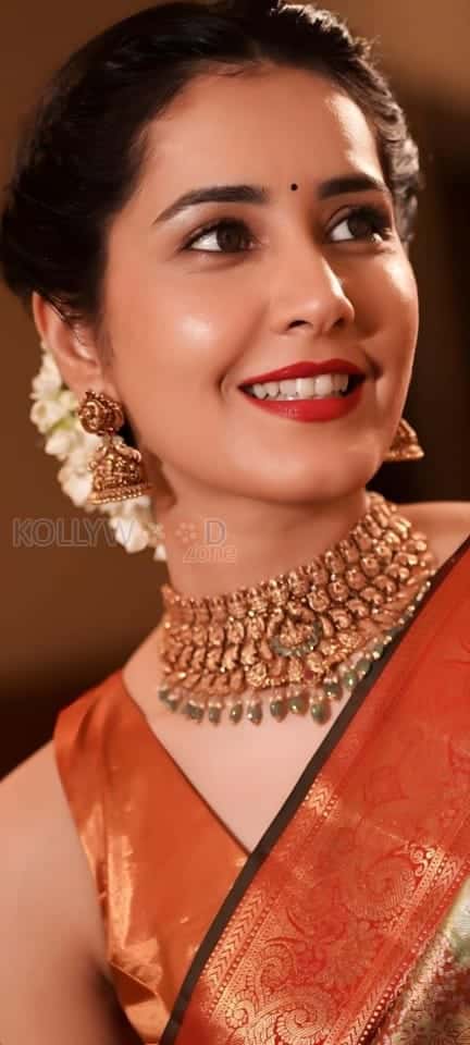 Actress Raashi Khanna in a Brown Silk Saree wearing a Matching Choker Set Photos 02