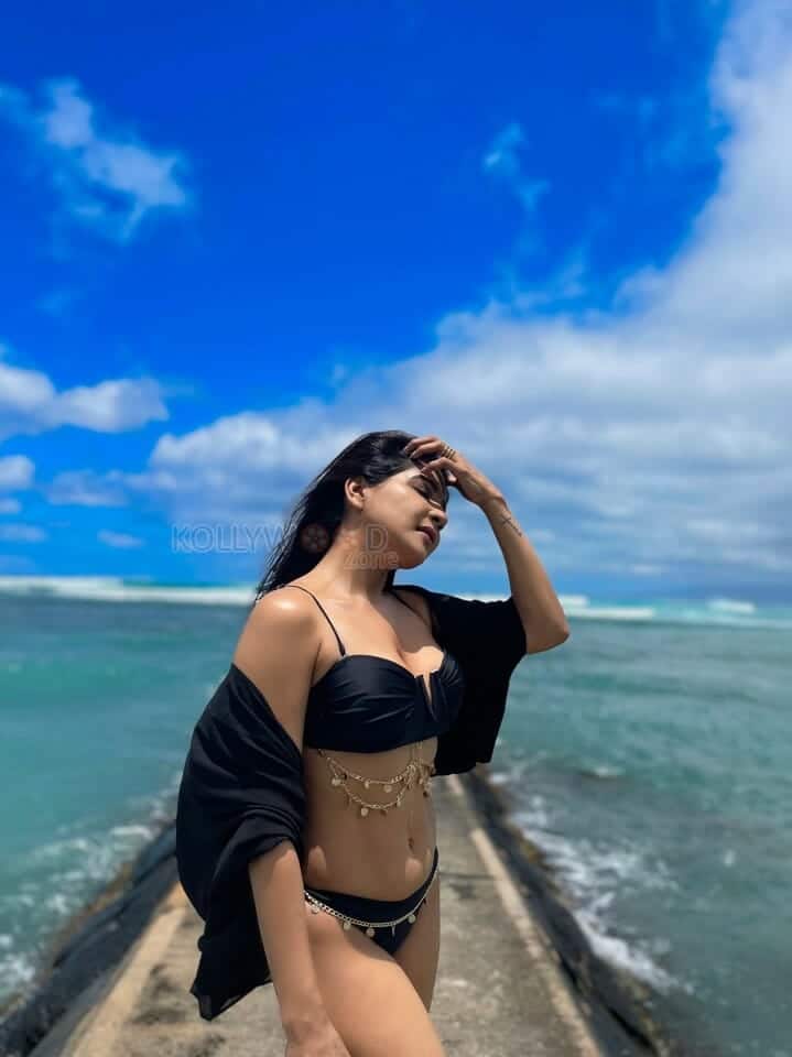 Actress Sakshi Agarwal Hot Bikini Photos 02