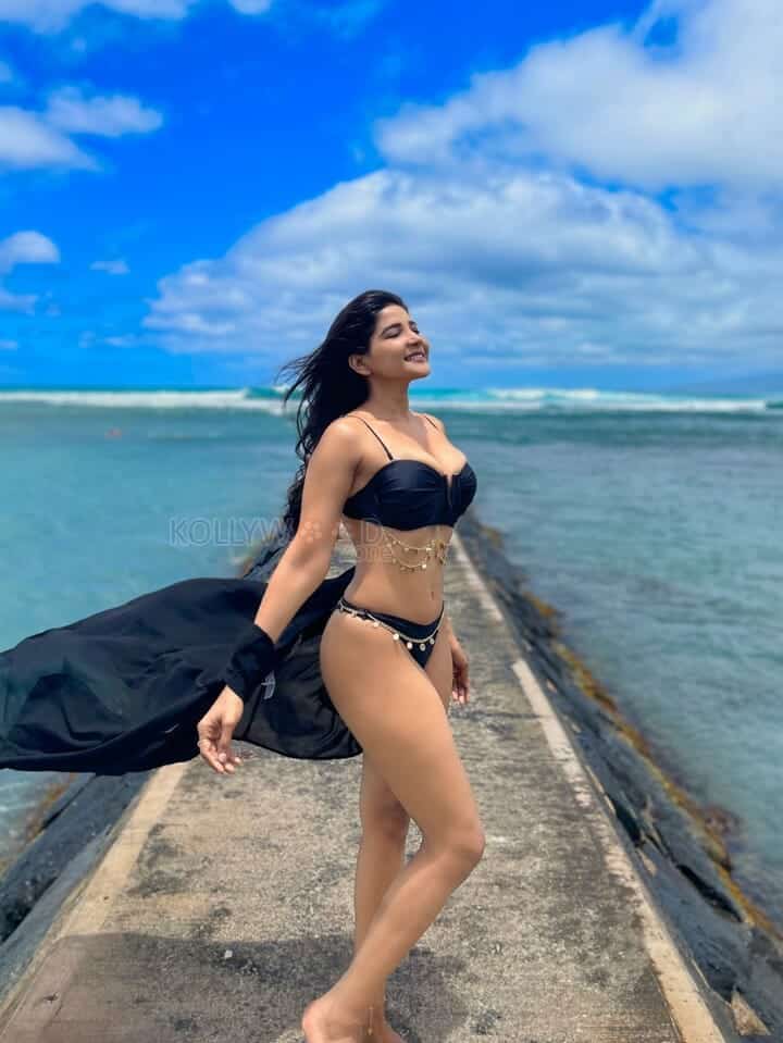 Actress Sakshi Agarwal Hot Bikini Photos 05