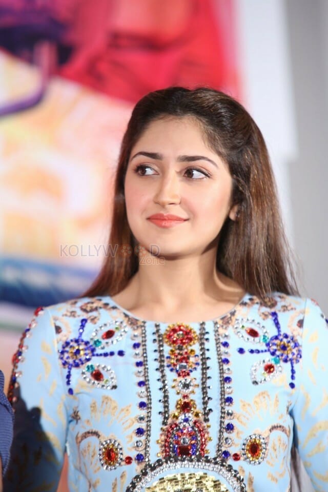 Actress Sayesha Saigal At Chinababu Movie Success Meet Photos