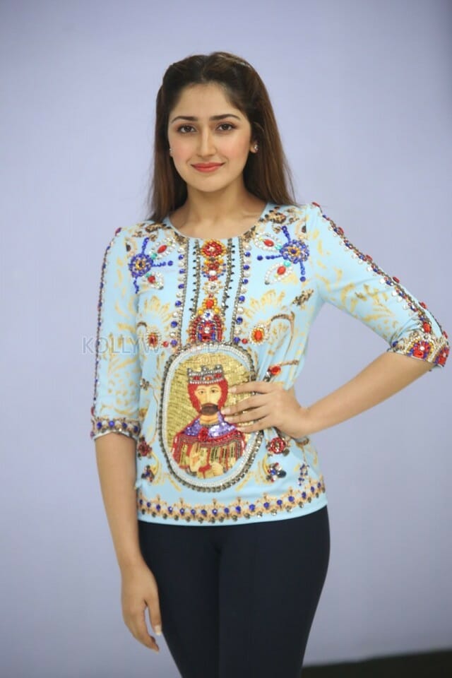 Actress Sayesha Saigal At Chinababu Movie Success Meet Photos