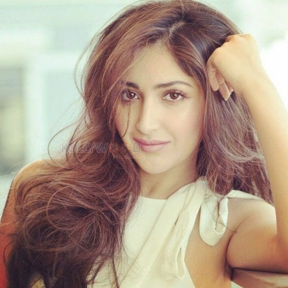 Sayyeshaa Saigal Shares Pictures of Her in Beach