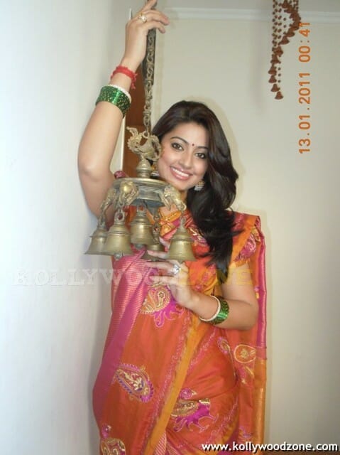 Actress Sneha In Saree Photos