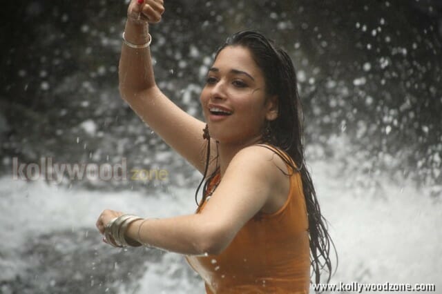 Actress Tamannah Sexy Pictures