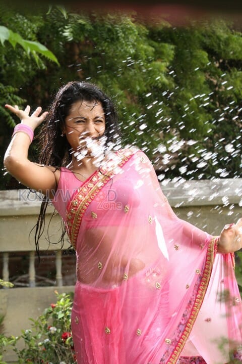 Actress Trisha Hot Wet Saree Sexy Photos