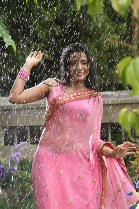 Actress Trisha Hot Wet Saree Sexy Photos