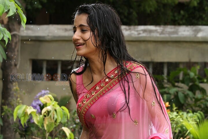 Actress Trisha Hot Wet Saree Sexy Photos