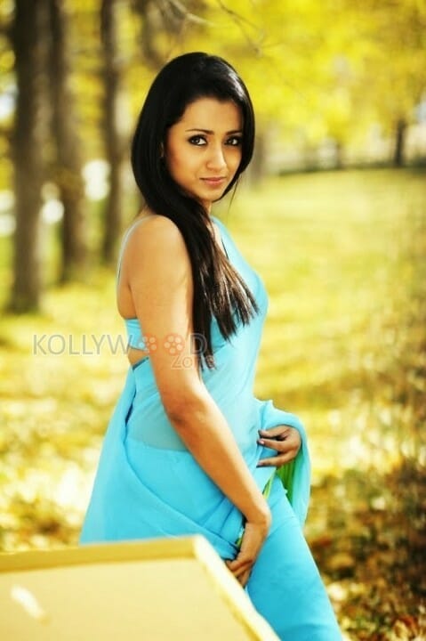 Actress Trisha Sexy Stills