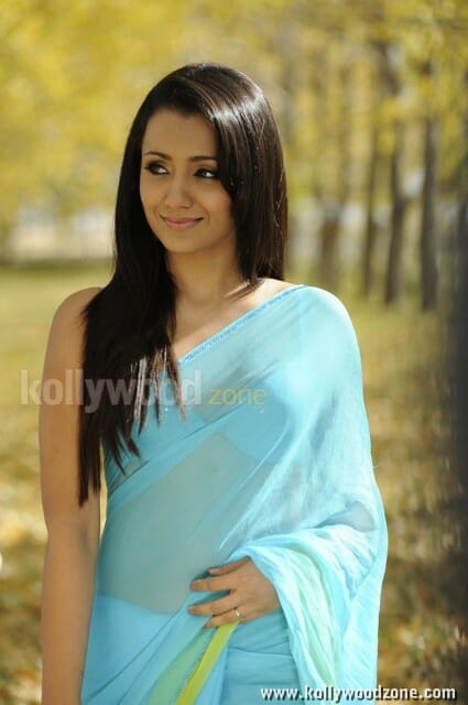 Actress Trisha Spicy Sexy Pictures