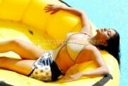 Actress priyamani bikini hot stills
