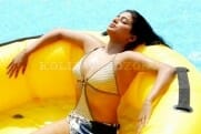 Actress priyamani bikini hot stills