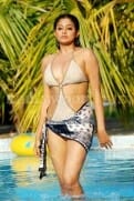 Actress priyamani bikini hot stills