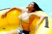 Actress priyamani bikini hot stills
