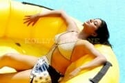Actress priyamani bikini hot stills