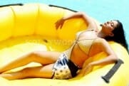 Actress priyamani bikini hot stills