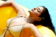 Actress priyamani bikini hot stills