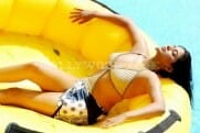 Actress priyamani bikini hot stills