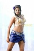 Actress priyamani bikini stills