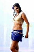 Actress priyamani bikini stills