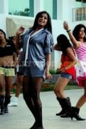 Actress priyamani bikini stills