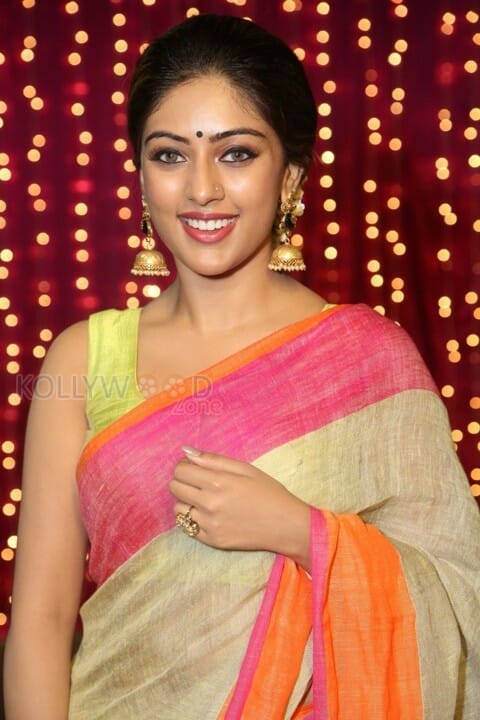 Anu Emmanuel Beautiful In Saree Photos