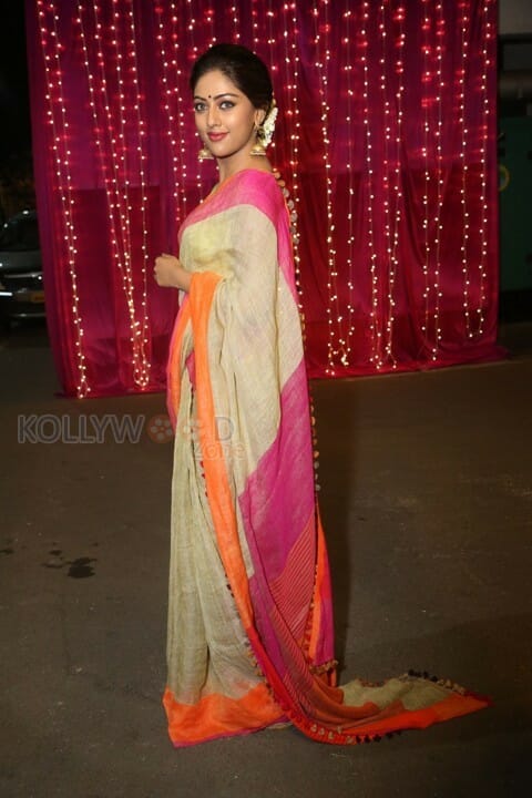 Anu Emmanuel Beautiful In Saree Photos