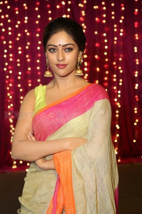 Anu Emmanuel Beautiful In Saree Photos