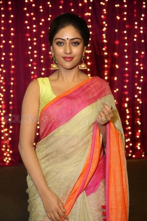 Anu Emmanuel Beautiful In Saree Photos