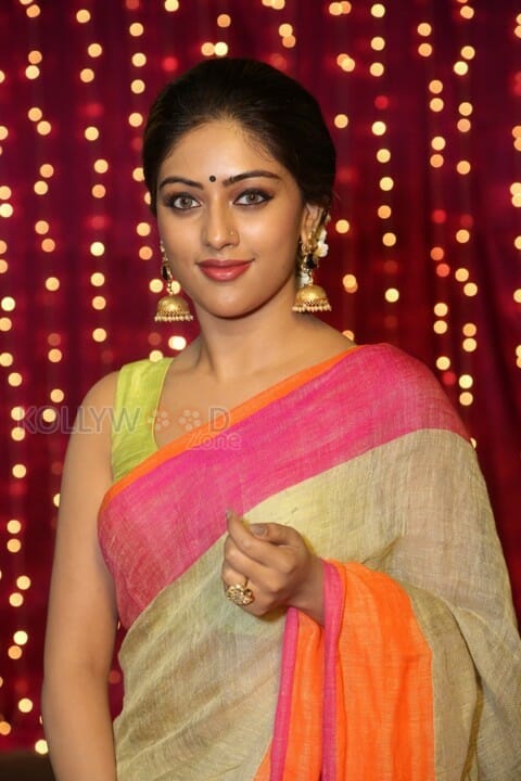 Anu Emmanuel Beautiful In Saree Photos