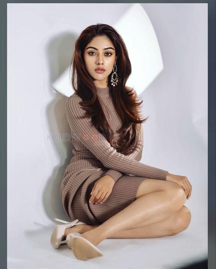 Anu Emmanuel Brown Dress Still 01