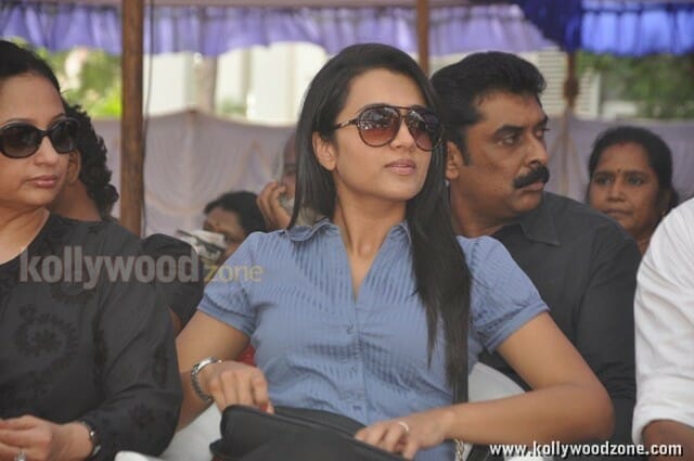 Beautiful Actress Trisha Krishnan Pictures