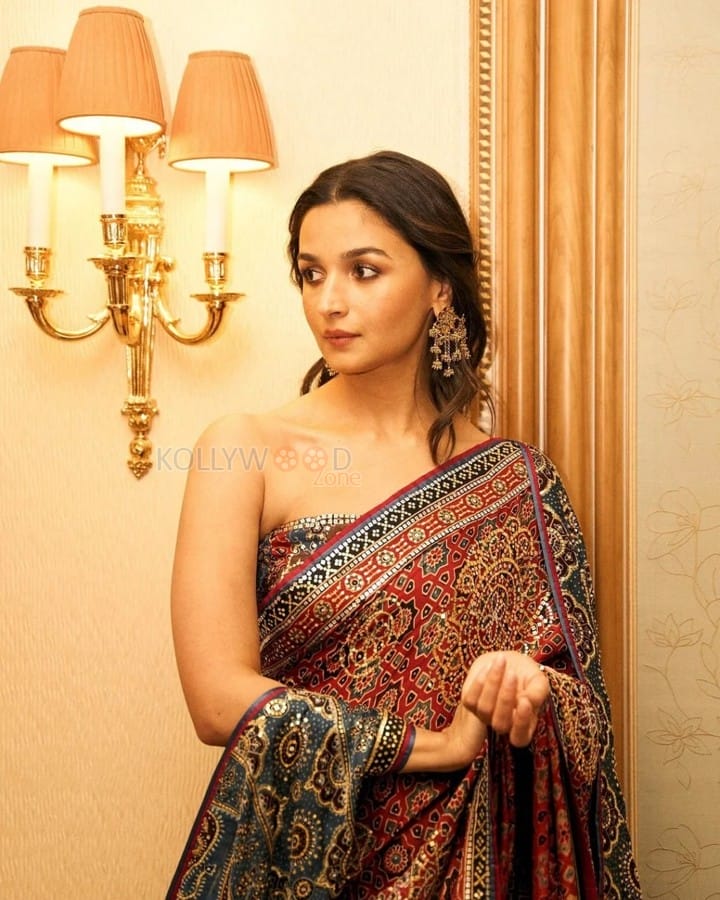 Beautiful Alia Bhatt in a Printed Saree at JOY Awards Photos 01