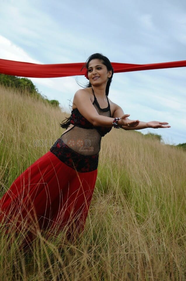 Beautiful Anushka Shetty Spicy Pictures 03
