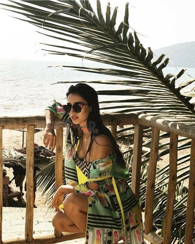 Beautiful Babe Disha Patani Photos