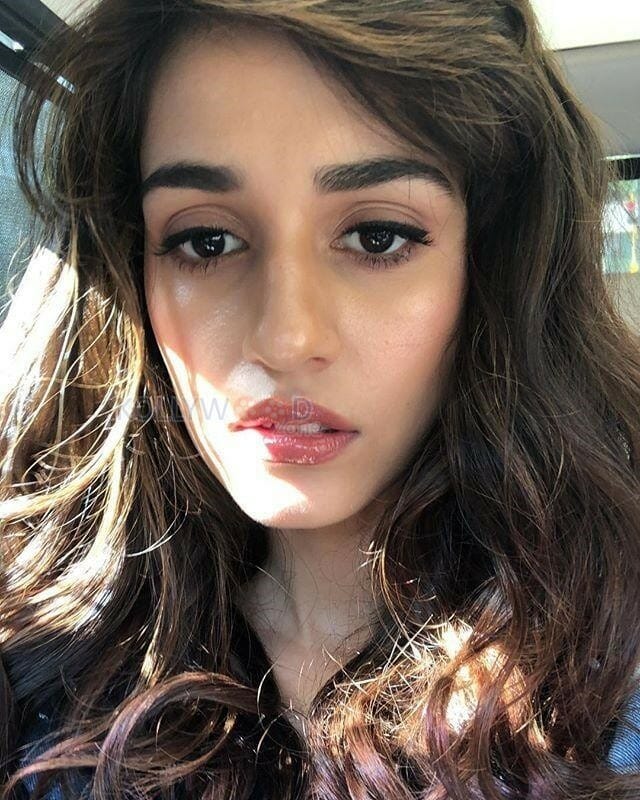 Beautiful Babe Disha Patani Photos
